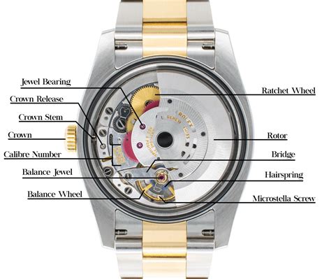 rolex movement chart.